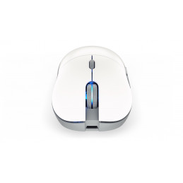 ENDORFY GEM Plus Wireless Onyx White hiiri Molempikätinen RF Wireless + USB Type-C Optinen 26000 DPI