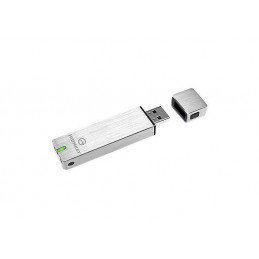 Kingston Technology Basic S250 USB-muisti 16 GB USB A-tyyppi Hopea