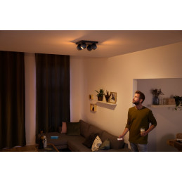 Philips Hue White ambiance Buckram-kohdevalaisin