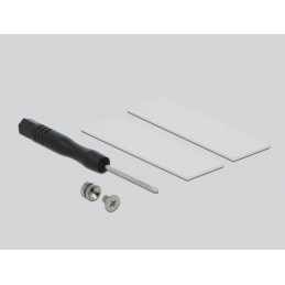 DeLOCK 64105 liitäntäkortti -sovitin M.2