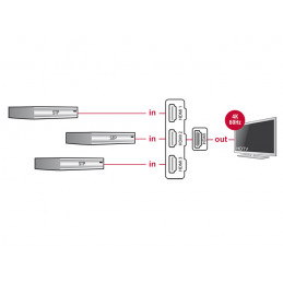 DeLOCK 18600 videokytkin HDMI