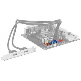 DeLOCK 62843 liitäntäkortti -sovitin Sisäinen USB 3.2 Gen 1 (3.1 Gen 1)