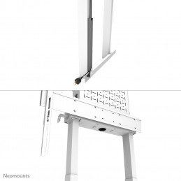 Neomounts by Newstar WL55-875WH1 kyltin näyttökiinnike 2,54 m (100") Valkoinen
