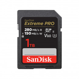 SanDisk SDSDXEP-1T00-GN4IN muistikortti 1 TB SDXC UHS-II Luokka 10