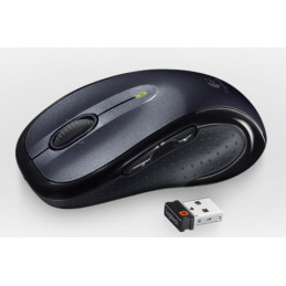 Logitech M510 hiiri Oikeakätinen Langaton RF Optinen 1000 DPI