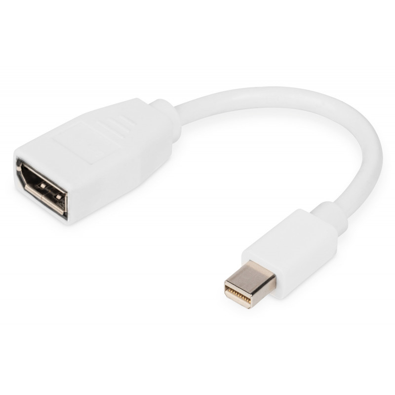 Digitus DB-340405-001-W videokaapeli-adapteri 0,15 m Mini DisplayPort DisplayPort Valkoinen