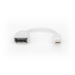 Digitus DB-340405-001-W videokaapeli-adapteri 0,15 m Mini DisplayPort DisplayPort Valkoinen