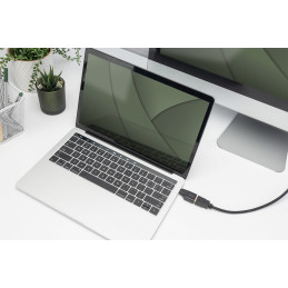 Digitus AK-300450-000-S USB grafiikka-adapteri 3840 x 2160 pikseliä Musta