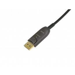 Equip 119445 DisplayPort-kaapeli 50 m Musta