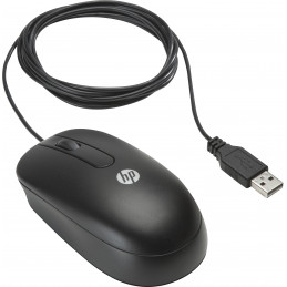 HP USB Optical Scroll Mouse hiiri Molempikätinen USB A-tyyppi Optinen 800 DPI