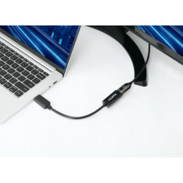 Manhattan 153713 kaapelin sukupuolenvaihtaja DisplayPort HDMI Musta