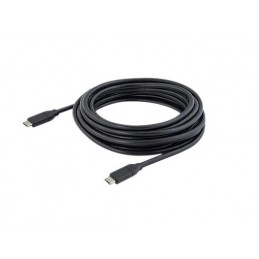 Cisco CAB-USBC-4M-GR USB-kaapeli USB A Musta