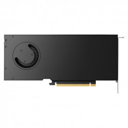 PNY RTX 4000 Ada NVIDIA RTX A4000 20 GB GDDR6