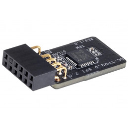 Gigabyte GC-TPM2.0 SPI 2.0 Trusted Platform Module (TPM) -moduuli