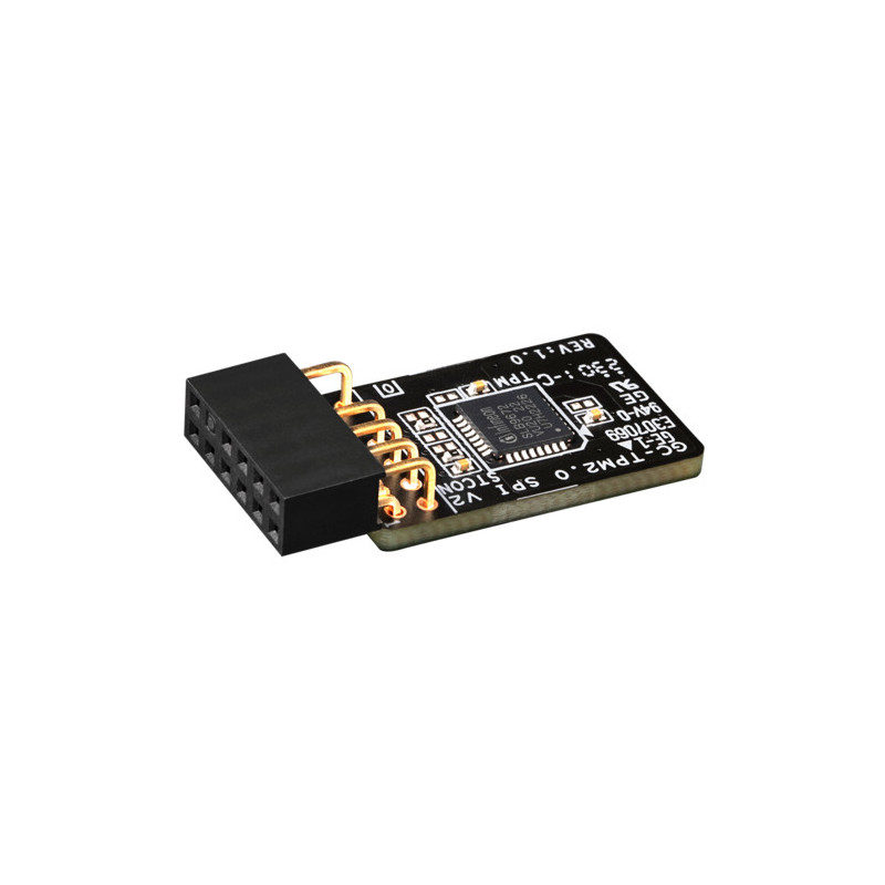 33,90 € | Gigabyte GC-TPM 2.0 SPI V2