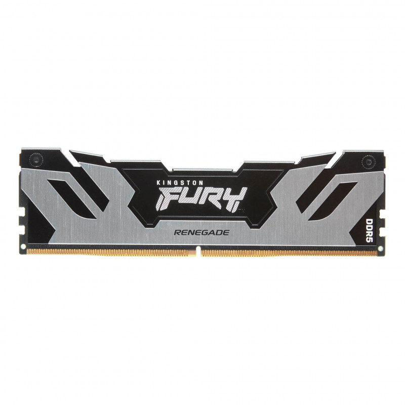 Kingston Technology FURY Renegade muistimoduuli 48 GB 1 x 48 GB DDR5 6000 MHz