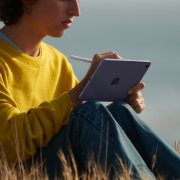 Apple iPad mini 256 GB 21,1 cm (8.3") Wi-Fi 6 (802.11ax) iPadOS 15 Harmaa