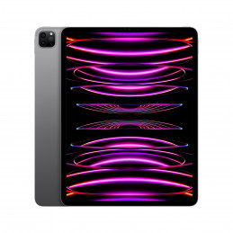 Apple iPad Pro 128 GB 32,8 cm (12.9") Apple M 8 GB Wi-Fi 6E (802.11ax) iPadOS 16 Harmaa