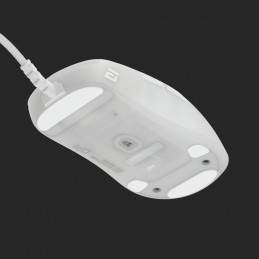 Endgame Gear OP1 RGB hiiri Oikeakätinen USB A-tyyppi Optinen 26000 DPI