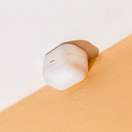 Shelly BLU Motion Passiivinen infrapunasensori Langaton Katto seinä Valkoinen