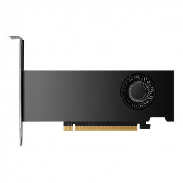 PNY NVIDIA RTX 2000 Ada Generation 16 GB GDDR6