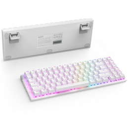 NZXT Function 2 MiniTKL näppäimistö Universaali USB QWERTY Hollanti Valkoinen