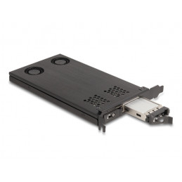 DeLOCK 47042 liitäntäkortti -sovitin Sisäinen M.2