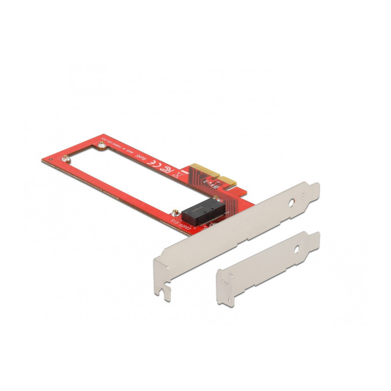 DeLOCK 90055 liitäntäkortti -sovitin Sisäinen E1.S