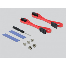 DeLOCK 90486 liitäntäkortti -sovitin Sisäinen M.2