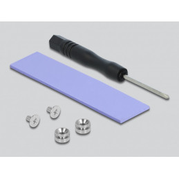 DeLOCK 90047 liitäntäkortti -sovitin Sisäinen M.2