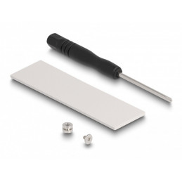 DeLOCK 89836 liitäntäkortti -sovitin Sisäinen M.2