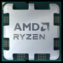 AMD Ryzen 7 7700 suoritin 3,8 GHz 32 MB L2 & L3 Konekasaukseen