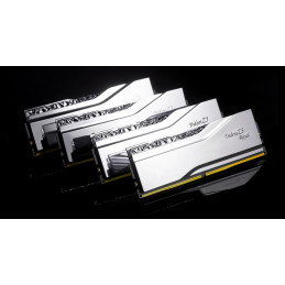 G.Skill F5-8000J4048F24GX2-TR5S muistimoduuli 48 GB 2 x 24 GB DDR5 8000 MHz