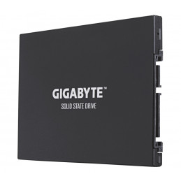 GIGABYTE UD PRO 256 GB 2.5" Serial ATA III 3D TLC