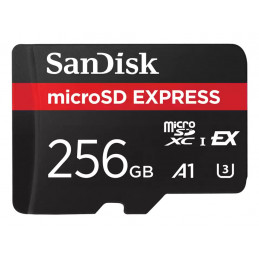 SanDisk Express 256 GB MicroSDXC UHS-I