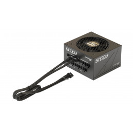 Seasonic WATX16883EW sisäinen virtakaapeli 0,75 m