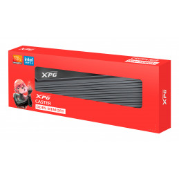 XPG CASTER DDR5 muistimoduuli 16 GB 1 x 16 GB 6400 MHz ECC