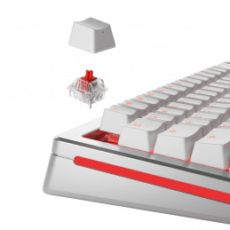 Glorious Gaming GLO-KB-ACC-SWT-FOX-LUBED-110 syöttölaitteen lisävaruste Näppäimistökytkimet