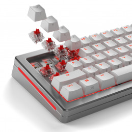 Glorious Gaming GLO-KB-ACC-SWT-FOX-LUBED-110 syöttölaitteen lisävaruste Näppäimistökytkimet