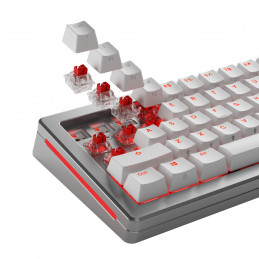 Glorious Gaming GLO-KB-ACC-SWT-FOX-HE-36 syöttölaitteen lisävaruste Näppäimistökytkimet