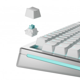 Glorious Gaming GLO-KB-ACC-SWT-LYNX-HE-36 syöttölaitteen lisävaruste Näppäimistökytkimet