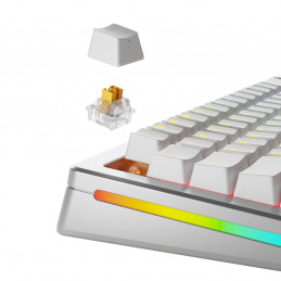 Glorious Gaming GLO-KB-ACC-SWT-PANDA-HE-36 syöttölaitteen lisävaruste Näppäimistökytkimet