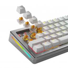 Glorious Gaming GLO-KB-ACC-SWT-PANDA-HE-36 syöttölaitteen lisävaruste Näppäimistökytkimet