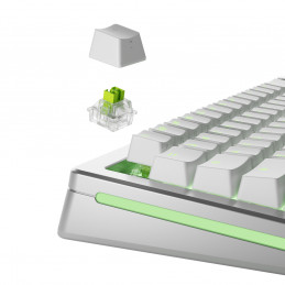 Glorious Gaming GLO-KB-ACC-SWT-RAPTOR-HE-36 syöttölaitteen lisävaruste Näppäimistökytkimet