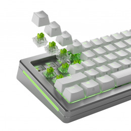 Glorious Gaming GLO-KB-ACC-SWT-RAPTOR-HE-36 syöttölaitteen lisävaruste Näppäimistökytkimet