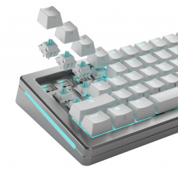 Glorious Gaming GLO-KB-ACC-SWT-LYNX-LUBED-36 syöttölaitteen lisävaruste Näppäimistökytkimet