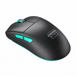 CHERRY XTRFY CX-M68W-BLACK hiiri Pelaaminen Langaton RF 26000 DPI