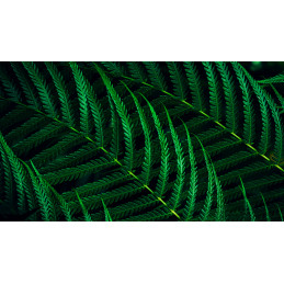 Philips 5000 series 24B2G5200 00 tietokoneen litteä näyttö 60,5 cm (23.8") 1920 x 1080 pikseliä Full HD LCD Antrasiitti