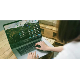 Western Digital Green SN350 500 GB M.2 PCI Express 3.0 NVMe TLC