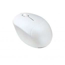 ASUS Fragrance Mouse MD101 hiiri Koti Molempikätinen RF Wireless + Bluetooth Optinen 2400 DPI